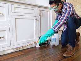 Best Real Estate Pest Inspections  in Mount Ephraim, NJ